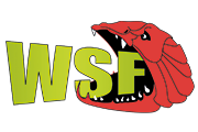 180x120-widget-footer-WSF